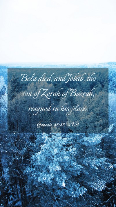 Picture 03 - Genesis 36:33 WEB Mobile Phone Wallpaper - Bela died, and Jobab, the son of Zerah of Bozrah, - Mobile Bible Verse Wallpaper
