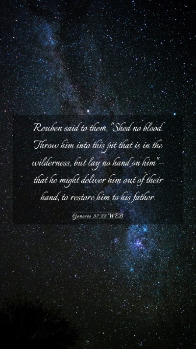 Picture 03 - Genesis 37:22 WEB Mobile Phone Wallpaper - Reuben said to them, 