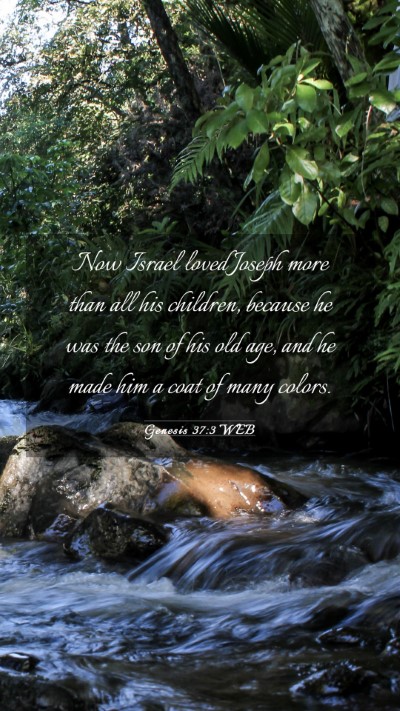 Picture 03 - Genesis 37:3 WEB Mobile Phone Wallpaper - Now Israel loved Joseph more than all his - Mobile Bible Verse Wallpaper