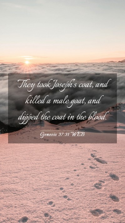 Picture 03 - Genesis 37:31 WEB Mobile Phone Wallpaper - They took Joseph's coat, and killed a male goat, - Mobile Bible Verse Wallpaper