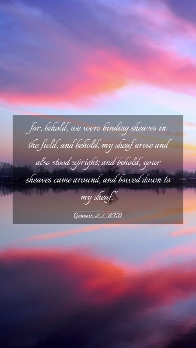 Picture 03 - Genesis 37:7 WEB Mobile Phone Wallpaper - for, behold, we were binding sheaves in the - Mobile Bible Verse Wallpaper