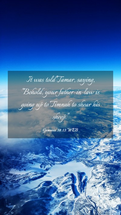 Picture 03 - Genesis 38:13 WEB Mobile Phone Wallpaper - It was told Tamar, saying, 