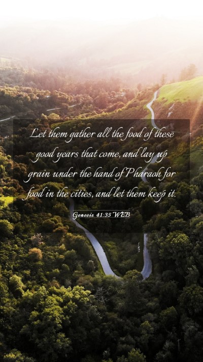 Picture 03 - Genesis 41:35 WEB Mobile Phone Wallpaper - Let them gather all the food of these good years - Mobile Bible Verse Wallpaper