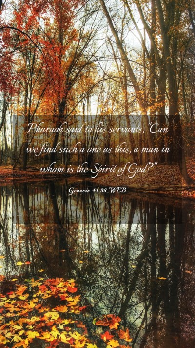 Picture 03 - Genesis 41:38 WEB Mobile Phone Wallpaper - Pharaoh said to his servants, 