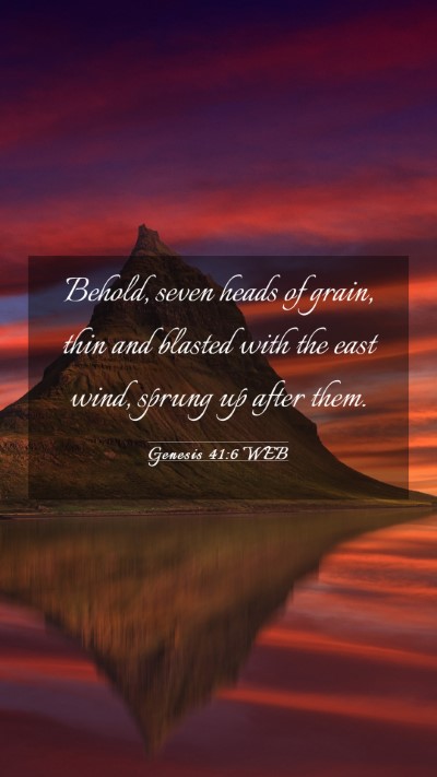 Picture 03 - Genesis 41:6 WEB Mobile Phone Wallpaper - Behold, seven heads of grain, thin and blasted - Mobile Bible Verse Wallpaper