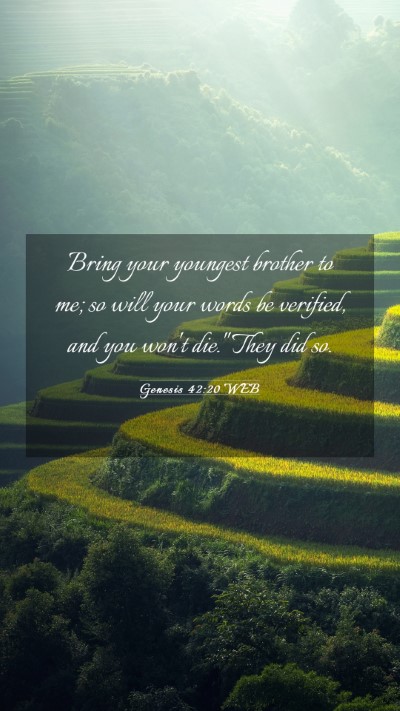 Picture 03 - Genesis 42:20 WEB Mobile Phone Wallpaper - Bring your youngest brother to me; so will your - Mobile Bible Verse Wallpaper