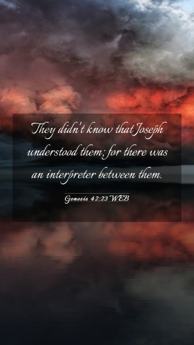 Picture 03 - Genesis 42:23 WEB Mobile Phone Wallpaper - They didn't know that Joseph understood them; for - Mobile Bible Verse Wallpaper