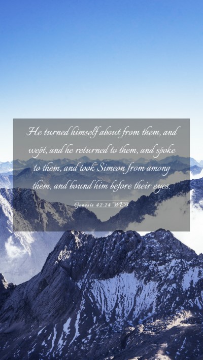Picture 03 - Genesis 42:24 WEB Mobile Phone Wallpaper - He turned himself about from them, and wept, and - Mobile Bible Verse Wallpaper