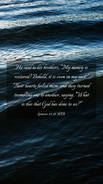 Picture 03 - Genesis 42:28 WEB Mobile Phone Wallpaper - He said to his brothers, 