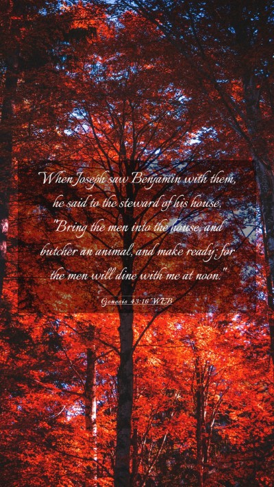 Picture 03 - Genesis 43:16 WEB Mobile Phone Wallpaper - When Joseph saw Benjamin with them, he said to - Mobile Bible Verse Wallpaper