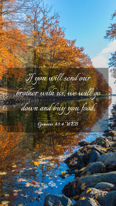 Picture 03 - Genesis 43:4 WEB Mobile Phone Wallpaper - If you will send our brother with us, we will go - Mobile Bible Verse Wallpaper