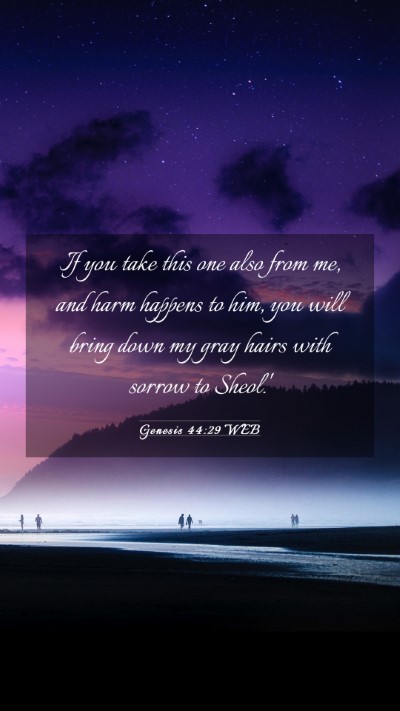 Picture 03 - Genesis 44:29 WEB Mobile Phone Wallpaper - If you take this one also from me, and harm - Mobile Bible Verse Wallpaper