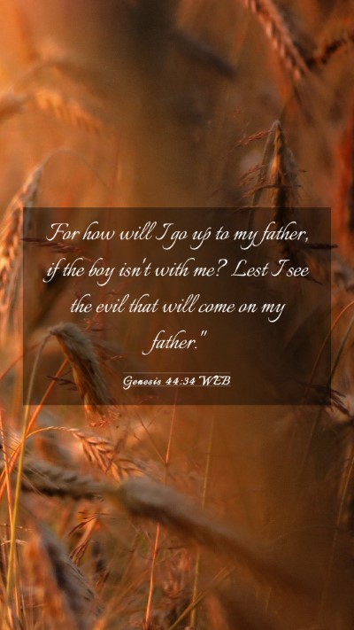Picture 03 - Genesis 44:34 WEB Mobile Phone Wallpaper - For how will I go up to my father, if the boy - Mobile Bible Verse Wallpaper