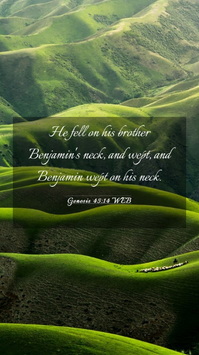 Picture 03 - Genesis 45:14 WEB Mobile Phone Wallpaper - He fell on his brother Benjamin's neck, and wept, - Mobile Bible Verse Wallpaper