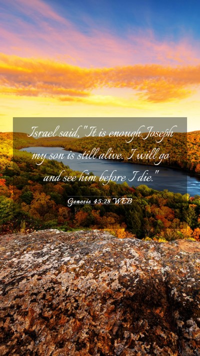 Picture 03 - Genesis 45:28 WEB Mobile Phone Wallpaper - Israel said, 