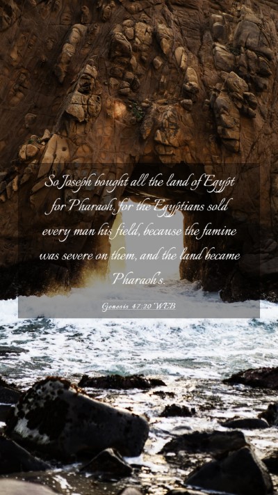 Picture 03 - Genesis 47:20 WEB Mobile Phone Wallpaper - So Joseph bought all the land of Egypt for - Mobile Bible Verse Wallpaper