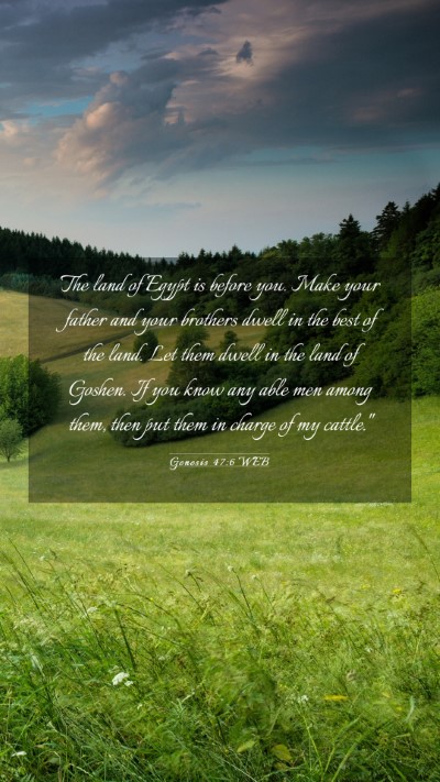 Picture 03 - Genesis 47:6 WEB Mobile Phone Wallpaper - The land of Egypt is before you. Make your father - Mobile Bible Verse Wallpaper