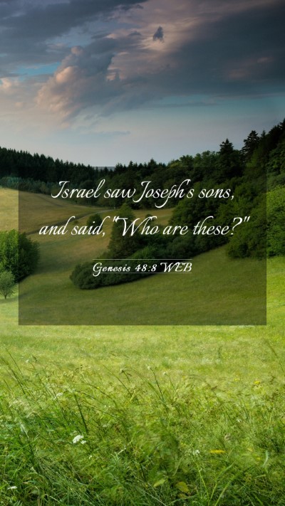 Picture 03 - Genesis 48:8 WEB Mobile Phone Wallpaper - Israel saw Joseph's sons, and said, 