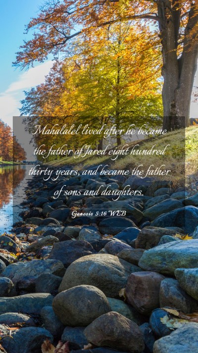 Picture 03 - Genesis 5:16 WEB Mobile Phone Wallpaper - Mahalalel lived after he became the father of - Mobile Bible Verse Wallpaper