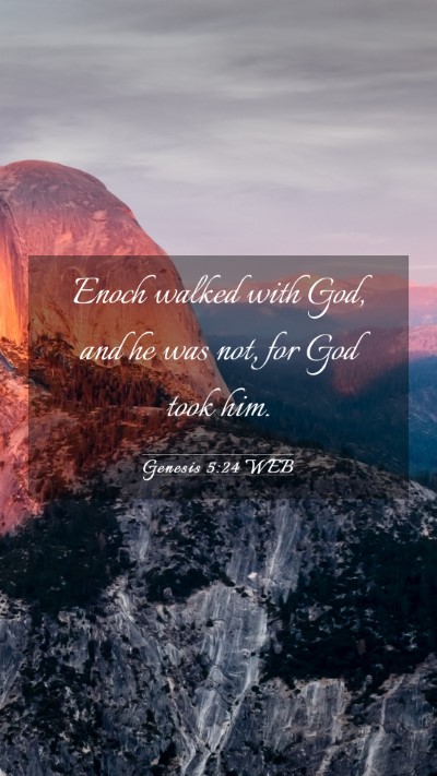 Picture 03 - Genesis 5:24 WEB Mobile Phone Wallpaper - Enoch walked with God, and he was not, for God - Mobile Bible Verse Wallpaper