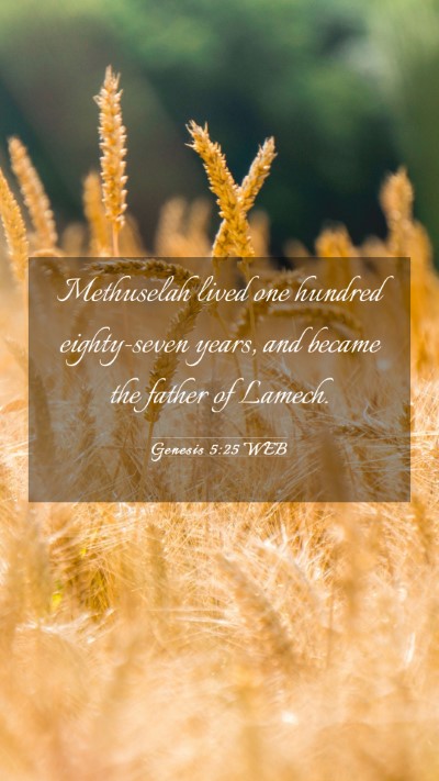 Picture 03 - Genesis 5:25 WEB Mobile Phone Wallpaper - Methuselah lived one hundred eighty-seven years, - Mobile Bible Verse Wallpaper