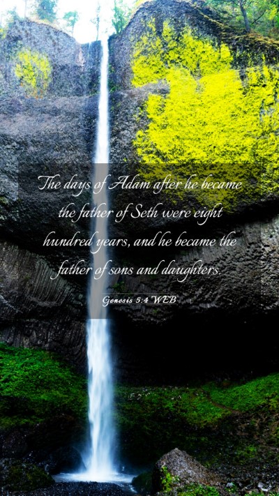 Picture 03 - Genesis 5:4 WEB Mobile Phone Wallpaper - The days of Adam after he became the father of - Mobile Bible Verse Wallpaper