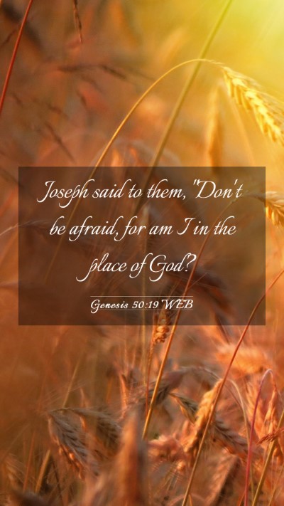 Picture 03 - Genesis 50:19 WEB Mobile Phone Wallpaper - Joseph said to them, 