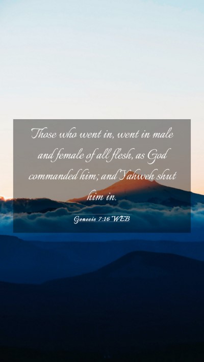Picture 03 - Genesis 7:16 WEB Mobile Phone Wallpaper - Those who went in, went in male and female of all - Mobile Bible Verse Wallpaper