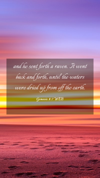 Picture 03 - Genesis 8:7 WEB Mobile Phone Wallpaper - and he sent forth a raven. It went back and - Mobile Bible Verse Wallpaper