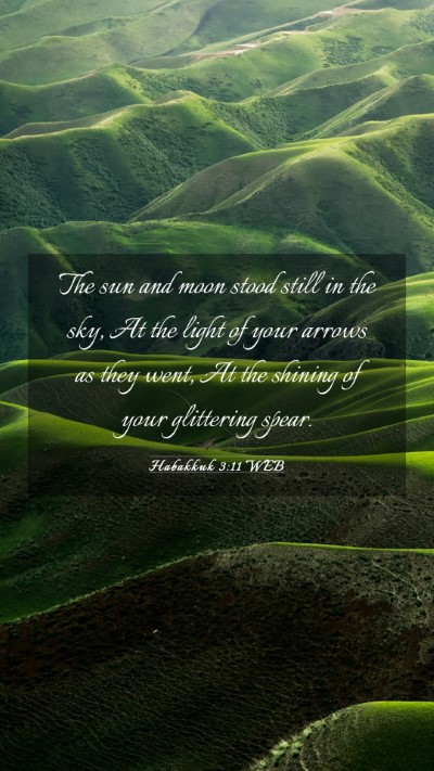 Picture 03 - Habakkuk 3:11 WEB Mobile Phone Wallpaper - The sun and moon stood still in the sky, At the - Mobile Bible Verse Wallpaper