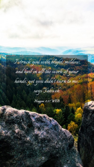Picture 03 - Haggai 2:17 WEB Mobile Phone Wallpaper - I struck you with blight, mildew, and hail in all - Mobile Bible Verse Wallpaper