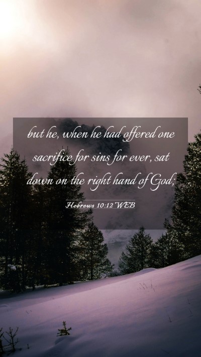 Picture 03 - Hebrews 10:12 WEB Mobile Phone Wallpaper - but he, when he had offered one sacrifice for - Mobile Bible Verse Wallpaper