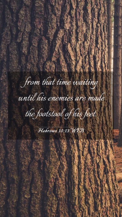 Picture 03 - Hebrews 10:13 WEB Mobile Phone Wallpaper - from that time waiting until his enemies are made - Mobile Bible Verse Wallpaper