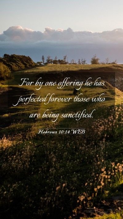 Picture 03 - Hebrews 10:14 WEB Mobile Phone Wallpaper - For by one offering he has perfected forever - Mobile Bible Verse Wallpaper