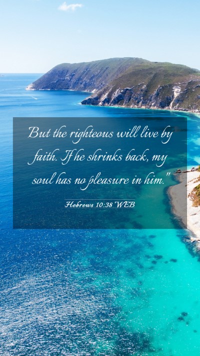 Picture 03 - Hebrews 10:38 WEB Mobile Phone Wallpaper - But the righteous will live by faith. If he - Mobile Bible Verse Wallpaper