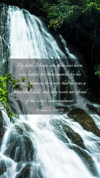 Picture 03 - Hebrews 11:23 WEB Mobile Phone Wallpaper - By faith, Moses, when he was born, was hidden for - Mobile Bible Verse Wallpaper