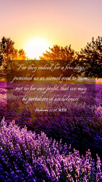 Picture 03 - Hebrews 12:10 WEB Mobile Phone Wallpaper - For they indeed, for a few days, punished us as - Mobile Bible Verse Wallpaper
