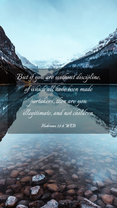 Picture 03 - Hebrews 12:8 WEB Mobile Phone Wallpaper - But if you are without discipline, of which all - Mobile Bible Verse Wallpaper