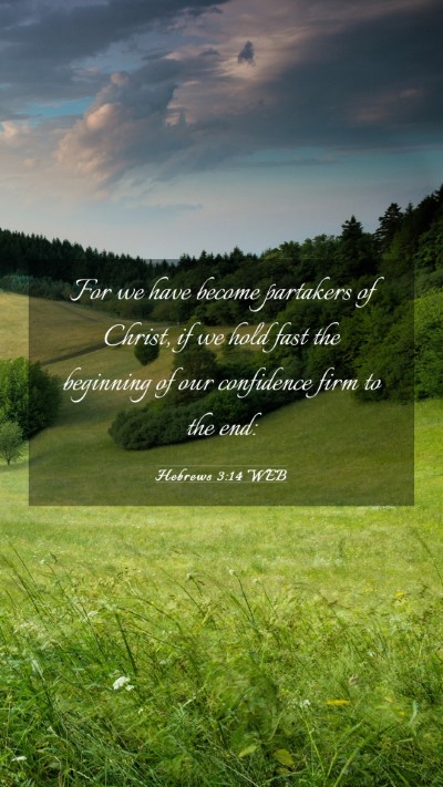 Picture 03 - Hebrews 3:14 WEB Mobile Phone Wallpaper - For we have become partakers of Christ, if we - Mobile Bible Verse Wallpaper