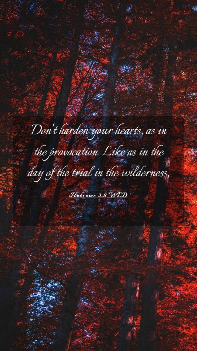 Picture 03 - Hebrews 3:8 WEB Mobile Phone Wallpaper - Don't harden your hearts, as in the provocation, - Mobile Bible Verse Wallpaper