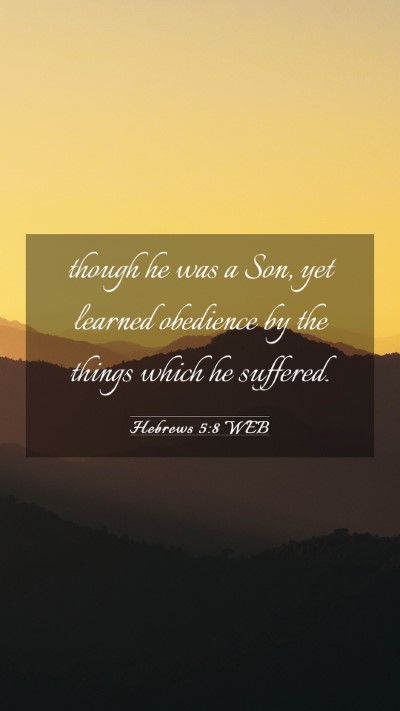 Picture 03 - Hebrews 5:8 WEB Mobile Phone Wallpaper - though he was a Son, yet learned obedience by the - Mobile Bible Verse Wallpaper