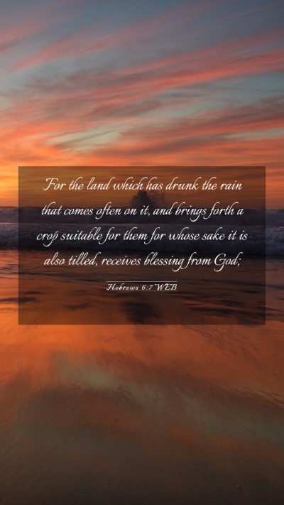 Picture 03 - Hebrews 6:7 WEB Mobile Phone Wallpaper - For the land which has drunk the rain that comes - Mobile Bible Verse Wallpaper