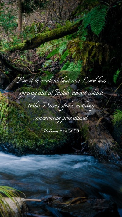 Picture 03 - Hebrews 7:14 WEB Mobile Phone Wallpaper - For it is evident that our Lord has sprung out of - Mobile Bible Verse Wallpaper