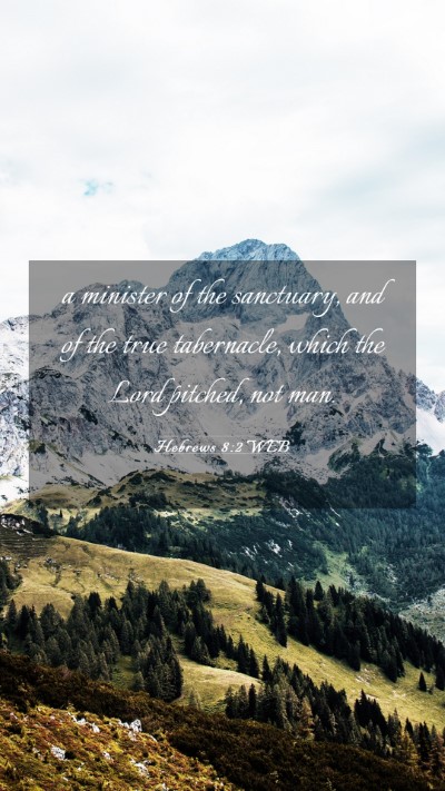 Picture 03 - Hebrews 8:2 WEB Mobile Phone Wallpaper - a minister of the sanctuary, and of the true - Mobile Bible Verse Wallpaper