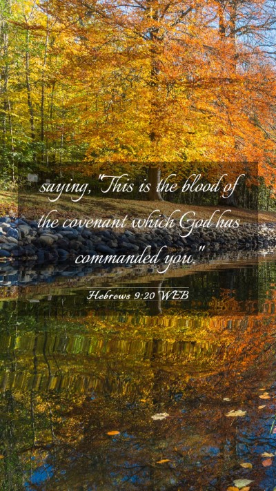 Picture 03 - Hebrews 9:20 WEB Mobile Phone Wallpaper - saying, 