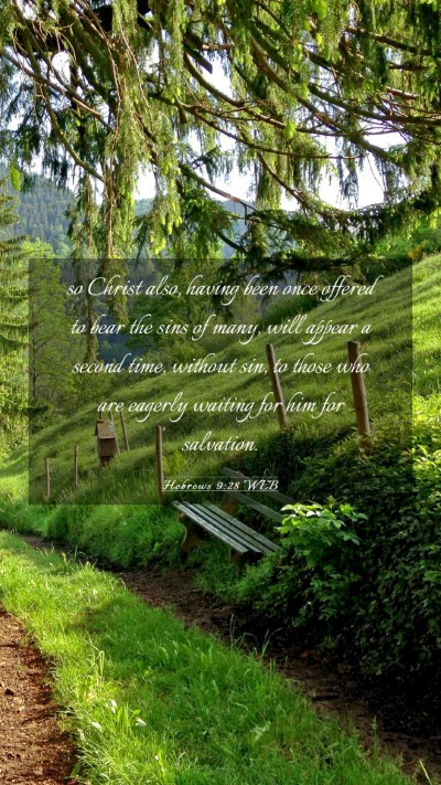 Picture 03 - Hebrews 9:28 WEB Mobile Phone Wallpaper - so Christ also, having been once offered to bear - Mobile Bible Verse Wallpaper