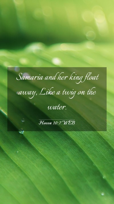 Picture 03 - Hosea 10:7 WEB Mobile Phone Wallpaper - Samaria and her king float away, Like a twig on - Mobile Bible Verse Wallpaper