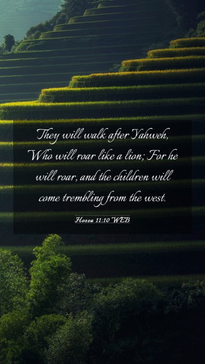 Picture 03 - Hosea 11:10 WEB Mobile Phone Wallpaper - They will walk after Yahweh, Who will roar like a - Mobile Bible Verse Wallpaper