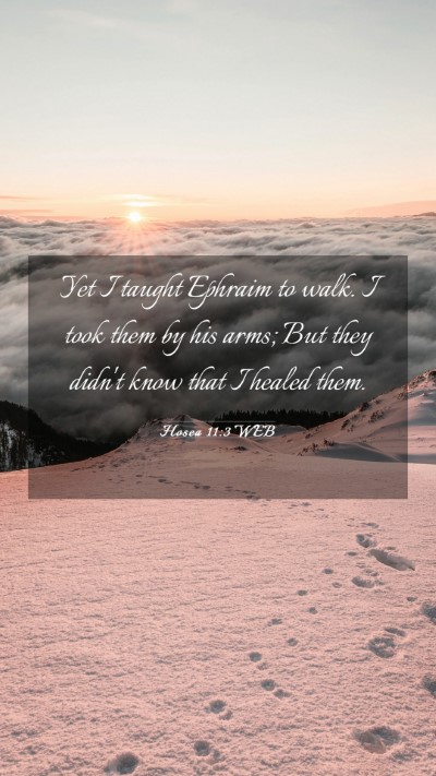 Picture 03 - Hosea 11:3 WEB Mobile Phone Wallpaper - Yet I taught Ephraim to walk. I took them by his - Mobile Bible Verse Wallpaper