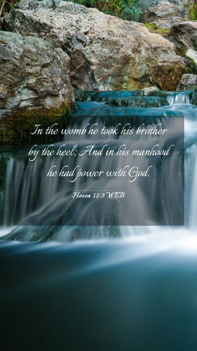 Picture 03 - Hosea 12:3 WEB Mobile Phone Wallpaper - In the womb he took his brother by the heel; And - Mobile Bible Verse Wallpaper